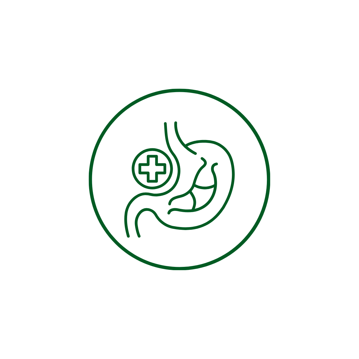 Digestive & Vitality Support